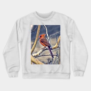 Northern Cardinal Crewneck Sweatshirt